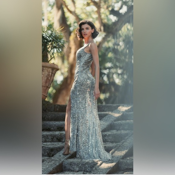 Mac Duggal Dresses & Skirts - Silver Beaded Floral Sleeveless Gown